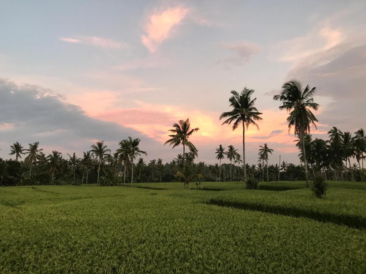 Sunset Pandawa Villa Убуд Экстерьер фото