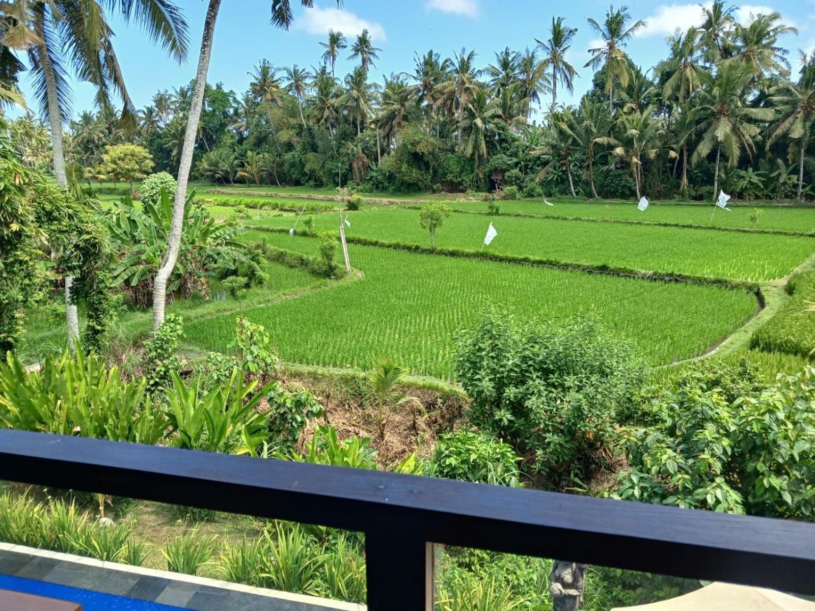 Sunset Pandawa Villa Убуд Экстерьер фото